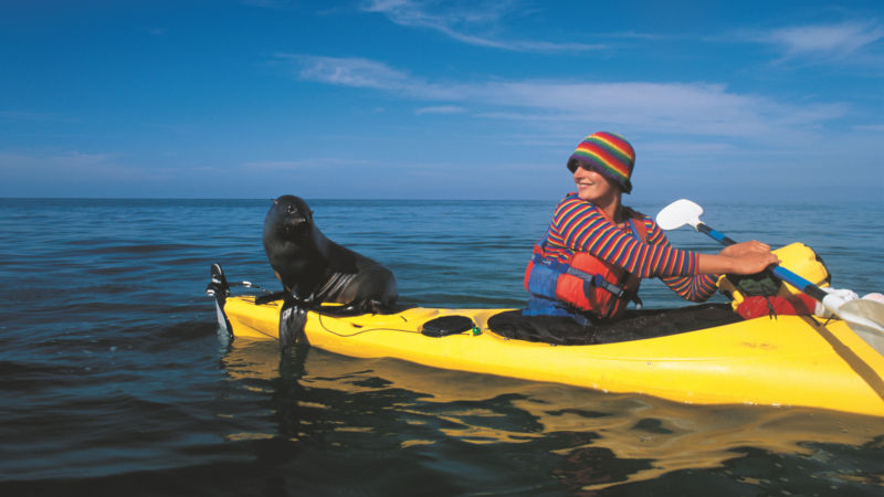 Full Day Kayak Abel Tasman